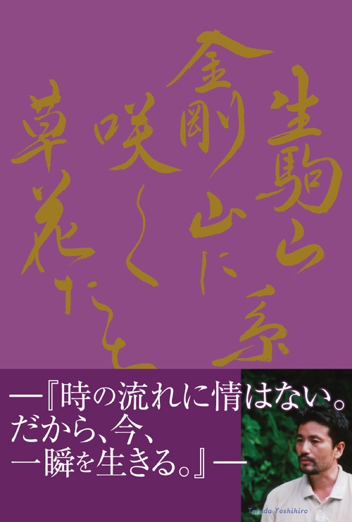 生駒山系　金剛山に咲く草花たち