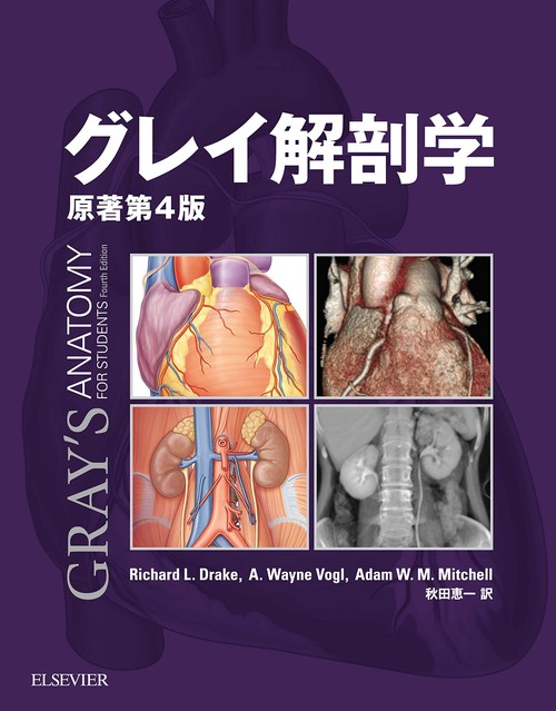 グレイ解剖学
