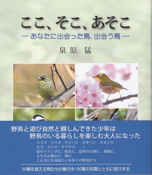 ここ、そこ、あそこ
