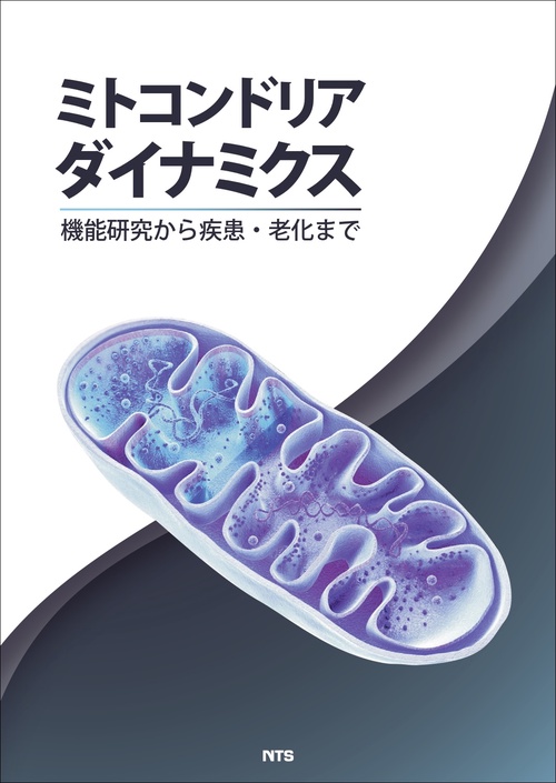 ミトコンドリアダイナミクス