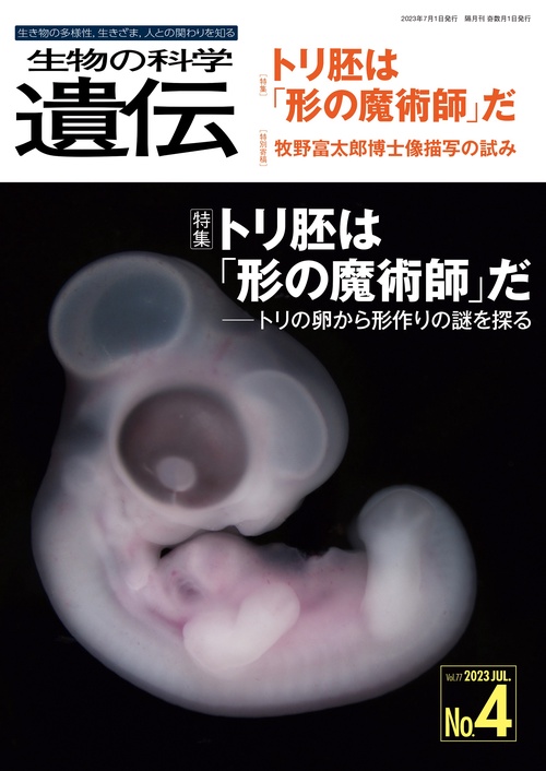 生物の科学　遺伝　2023年7月発行号（Vol.77‐No.4）