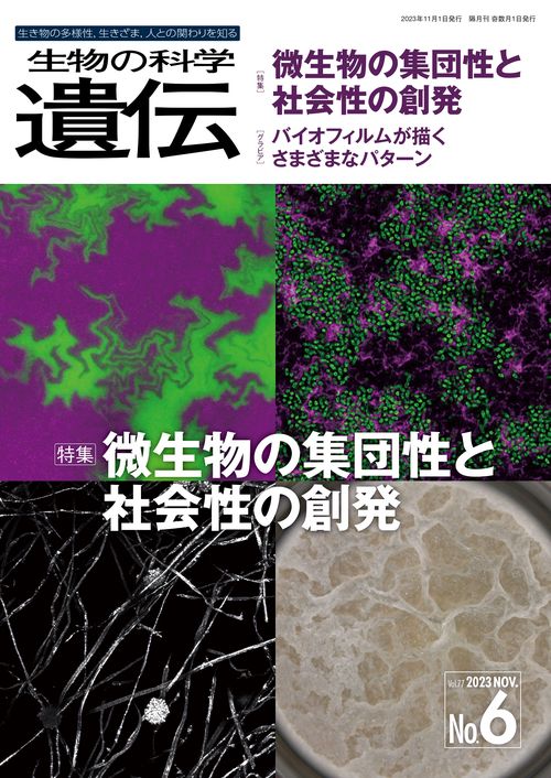 生物の科学　遺伝　2023年11月発行号（Vol.77‐No.6）