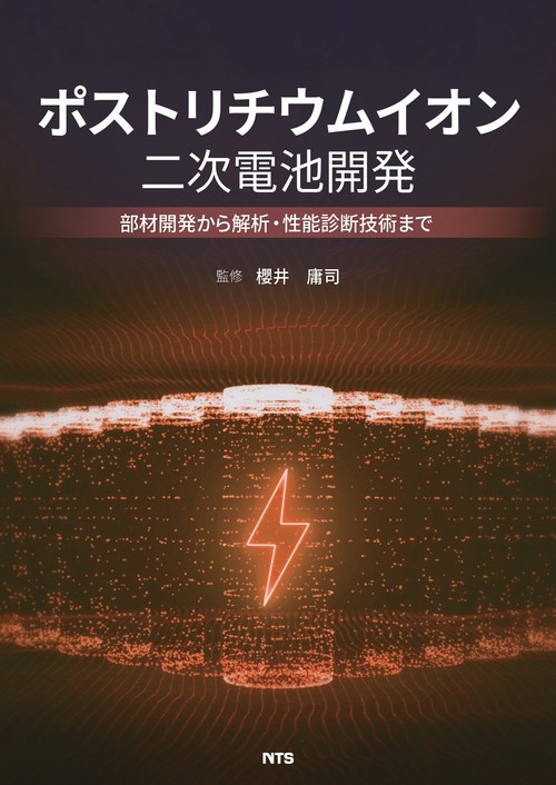 ポストリチウムイオン二次電池開発
