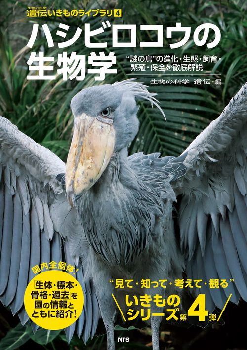 ハシビロコウの生物学