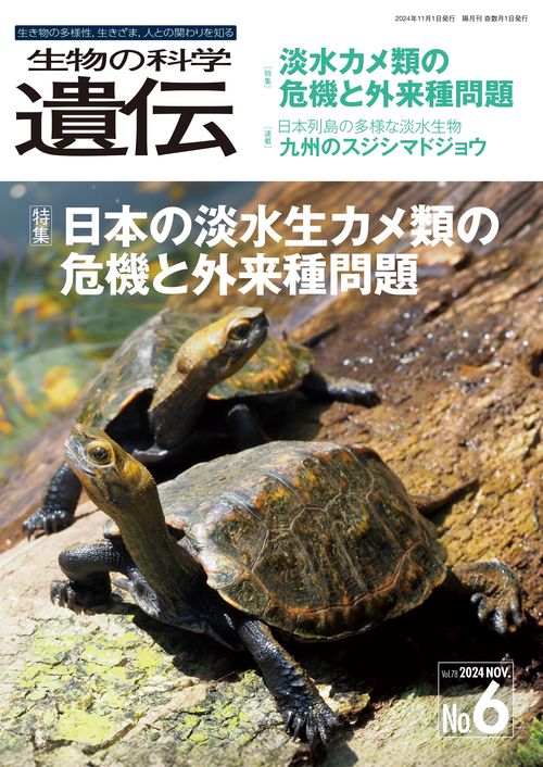 生物の科学　遺伝　2024年11月発行号（Vol.78‐No.6）