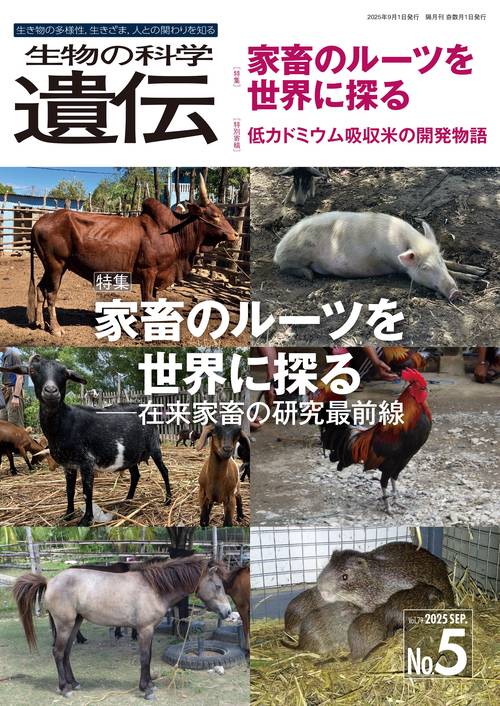 生物の科学　遺伝　2025年9月発行号（Vol.79‐No.5）
