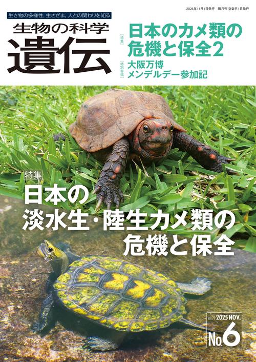 生物の科学　遺伝　2025年11月発行号（Vol.79‐No.6）