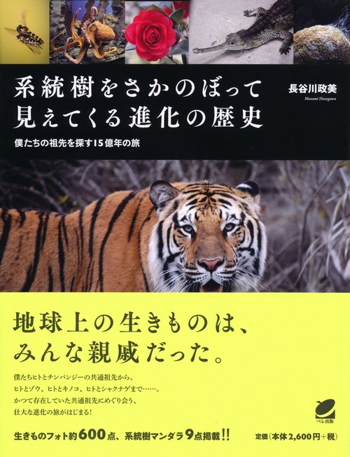 系統樹をさかのぼって見えてくる進化の歴史 僕たちの祖先を探す15億年の旅
