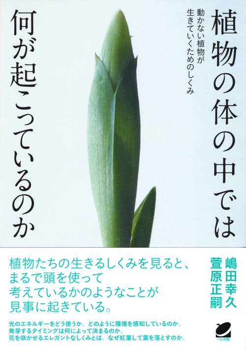 植物の体の中では何が起こっているのか 動かない植物が生きていくためのしくみ