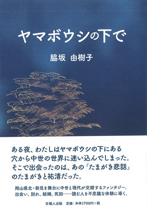ヤマボウシの下で
