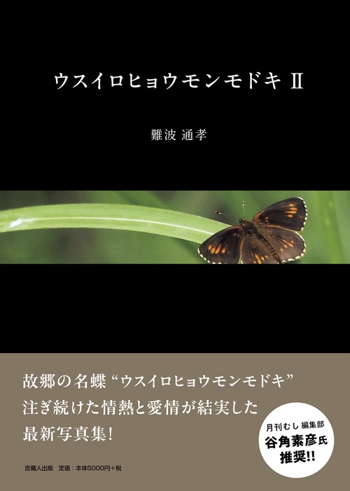 ウスイロヒョウモンモドキⅡ