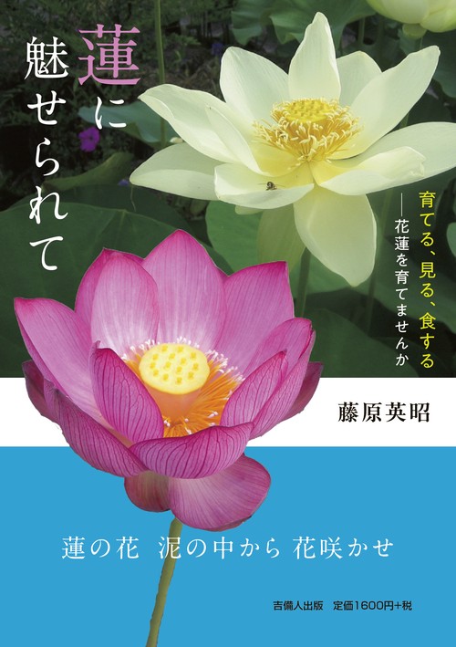 蓮に魅せられて