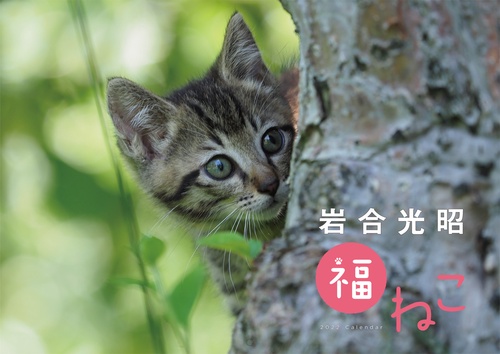 岩合光昭　福ねこカレンダー2022