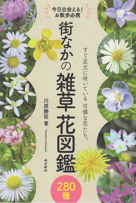 街なかの雑草 花図鑑