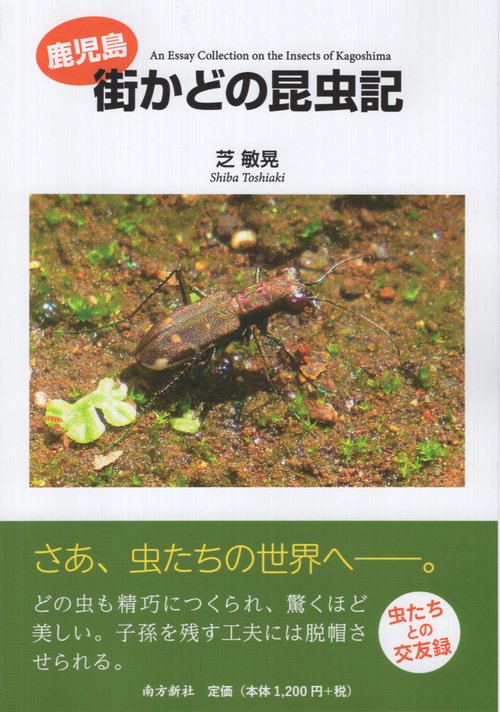 鹿児島 街かど昆虫記