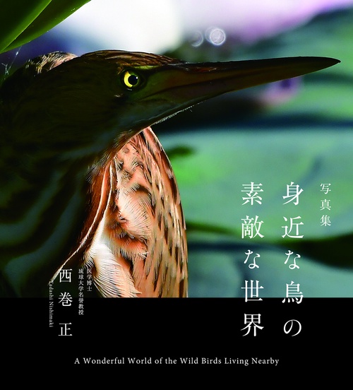 写真集 身近な鳥の素敵な世界