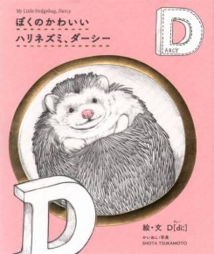 ぼくのかわいいハリネズミ、ダーシー