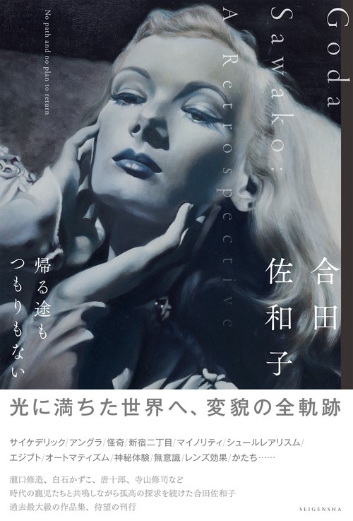 合田佐和子  帰る途もつもりもない