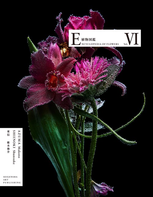ENCYCLOPEDIA OF FLOWERS VI 植物図鑑