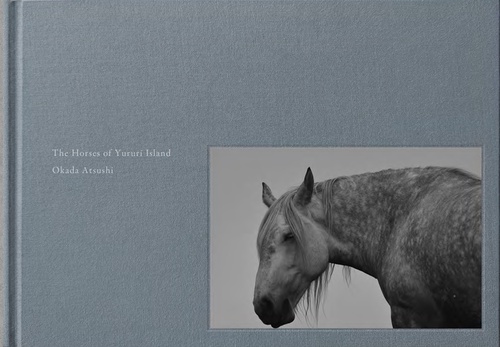The Horses of Yururi Island　ユルリ島の馬