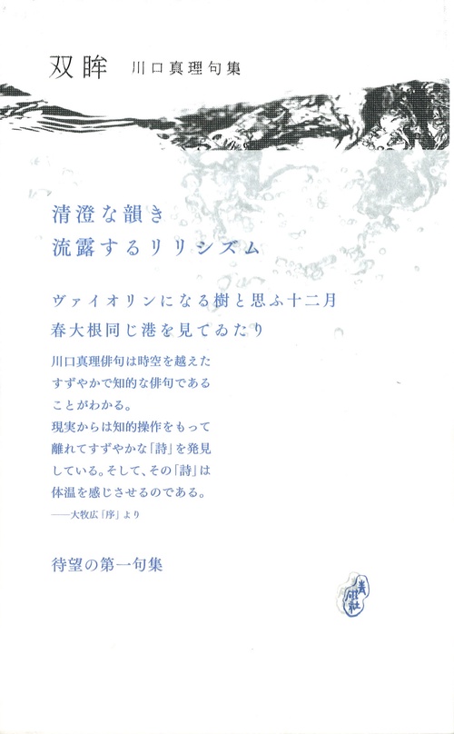 双眸