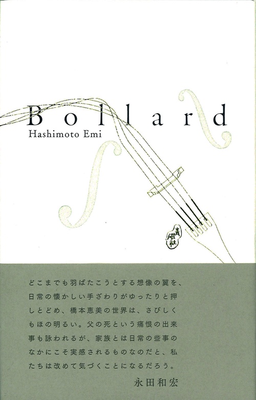 bollard