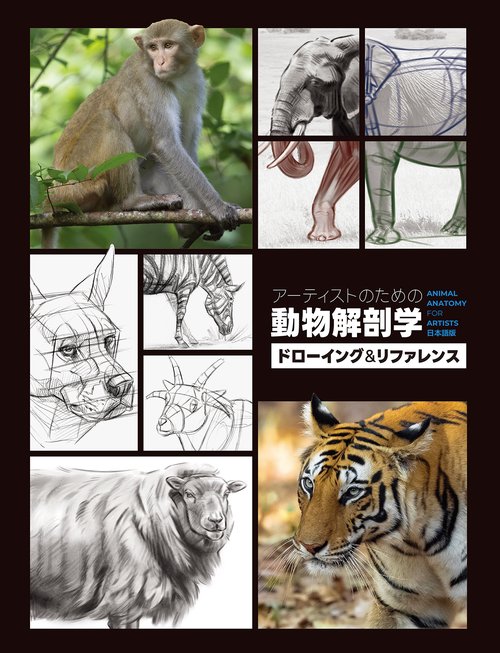アーティストのための動物解剖学：ドローイング＆リファレンス