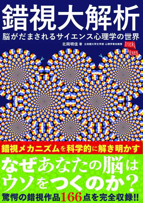 錯視大解析 脳がだまされるサイエンス心理学の世界