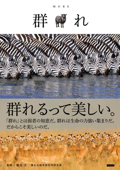 群れ