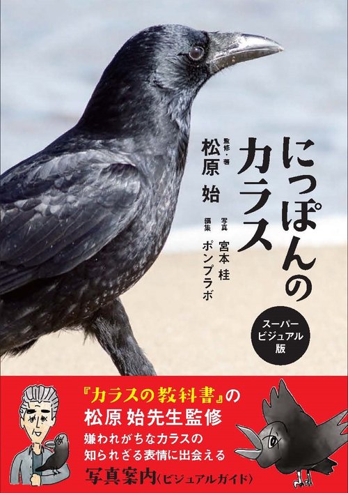 にっぽんのカラス スーパービジュアル版