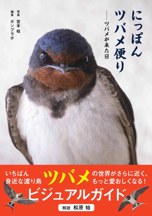 にっぽんツバメ便り ツバメが来た日