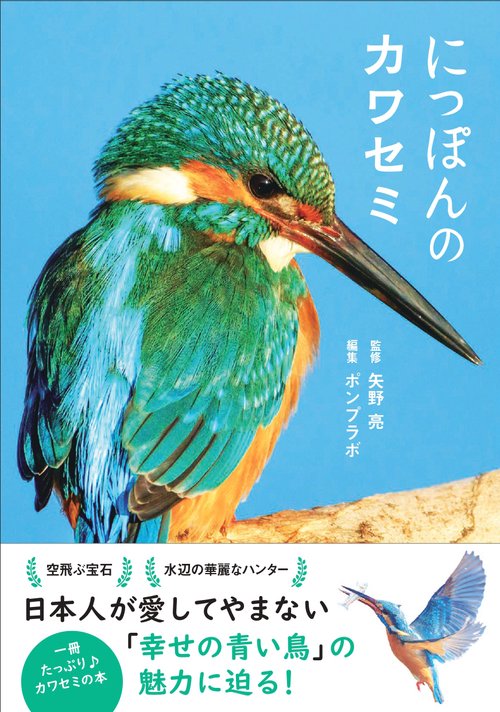 にっぽんのカワセミ