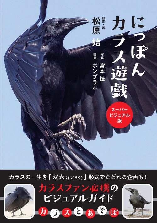 にっぽんカラス遊戯
