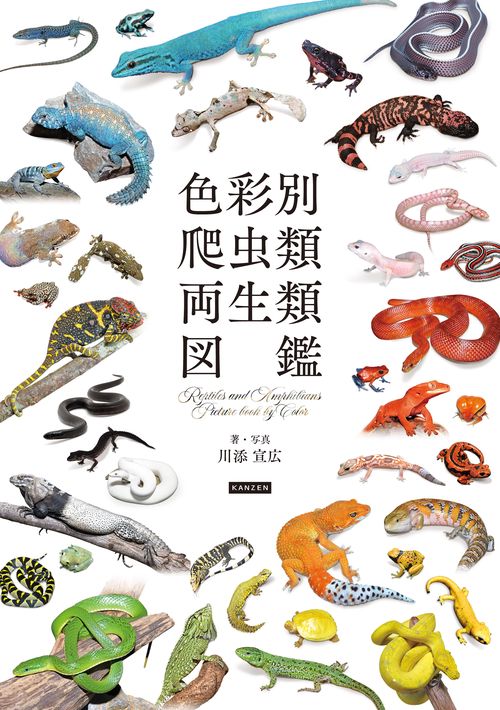 色彩別 爬虫類・両生類図鑑