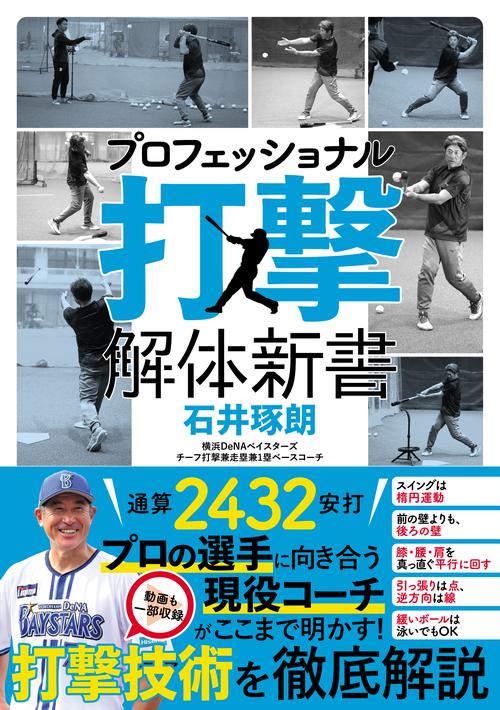 プロフェッショナル打撃解体新書