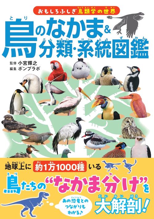 鳥のなかま＆分類・系統図鑑