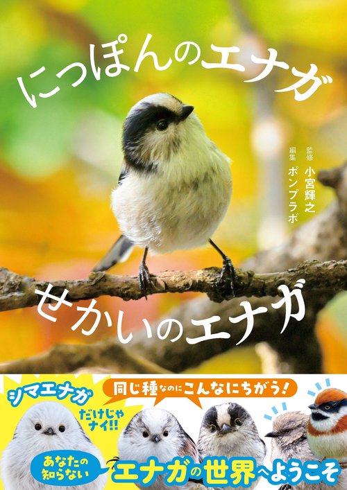 にっぽんのエナガ せかいのエナガ