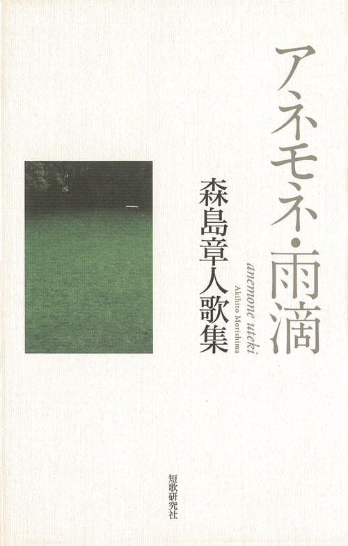 アネモネ・雨滴