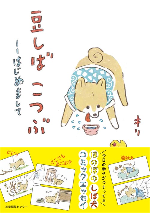 豆しばこつぶ はじめまして