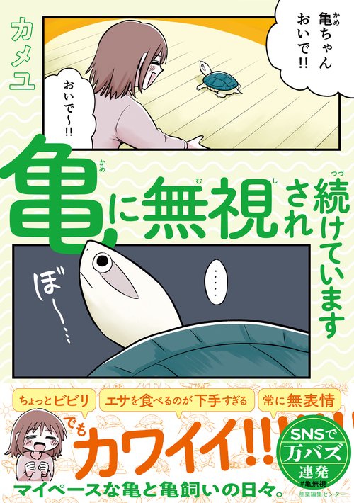 亀に無視され続けています