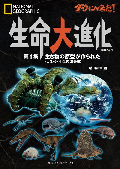 ダーウィンが来た！　生命大進化　第１集 生き物の原型が作られた（古生代中生代 三畳紀）