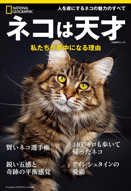 ネコは天才　私たちが夢中になる理由