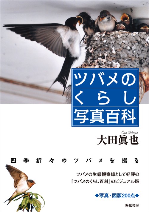 ツバメのくらし写真百科