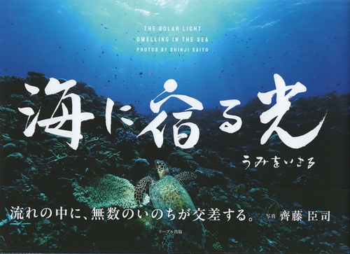 海に宿る光