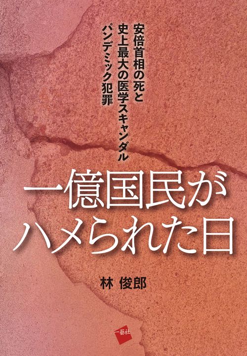 一億国民がハメられた日