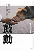鼓動