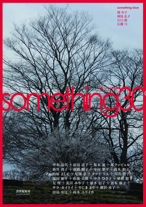something30