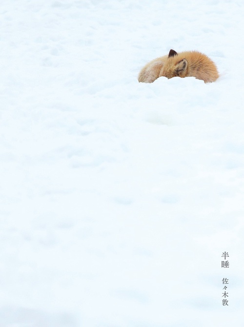 半睡