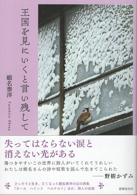 王国を見にいくと言い残して