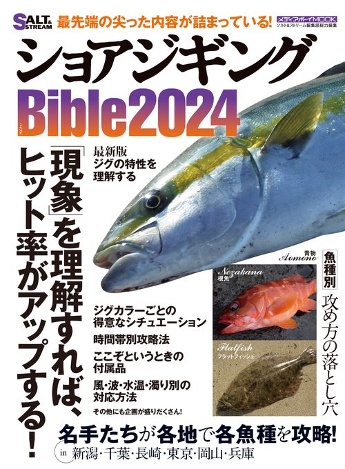 ショアジギングBible2024